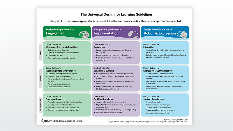 UDL Guidelines 3.0 graphic organizer