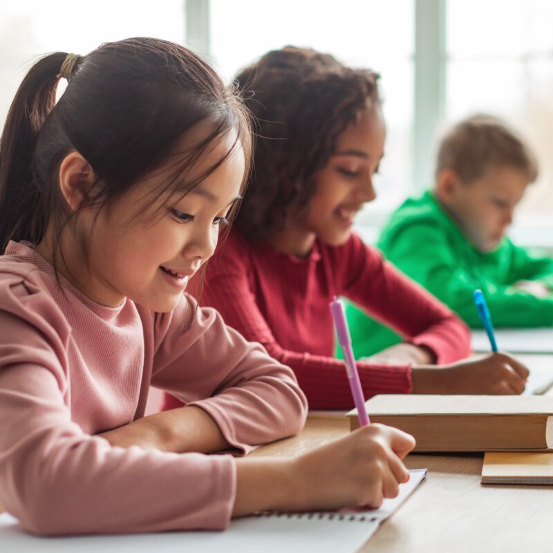 Schoolgirl Taking Notes Writing Essay Learning In Classroom