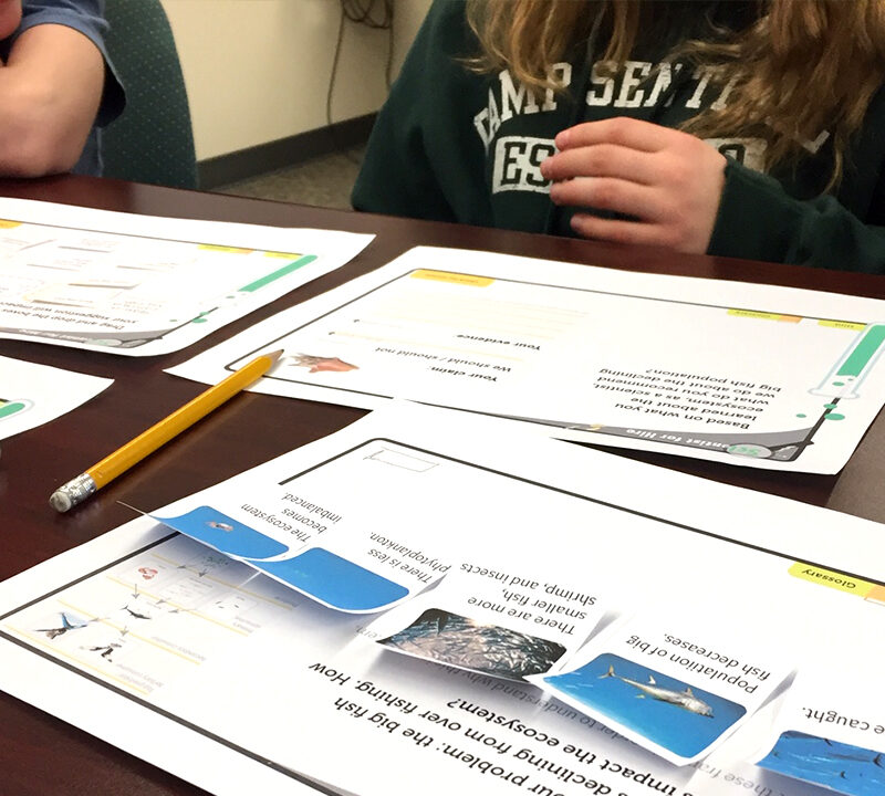 Students looking at a paper prototype