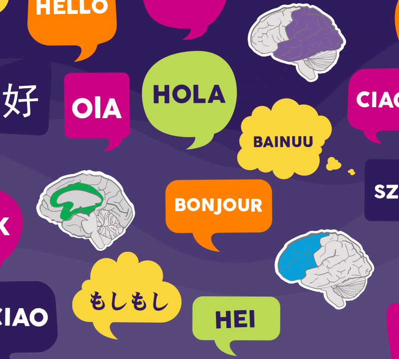 An image of many speech bubbles depicting how to say 'Hello' in different languages.