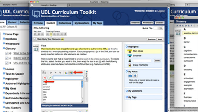 Screenshots from the UDL Curriculum Toolkit product