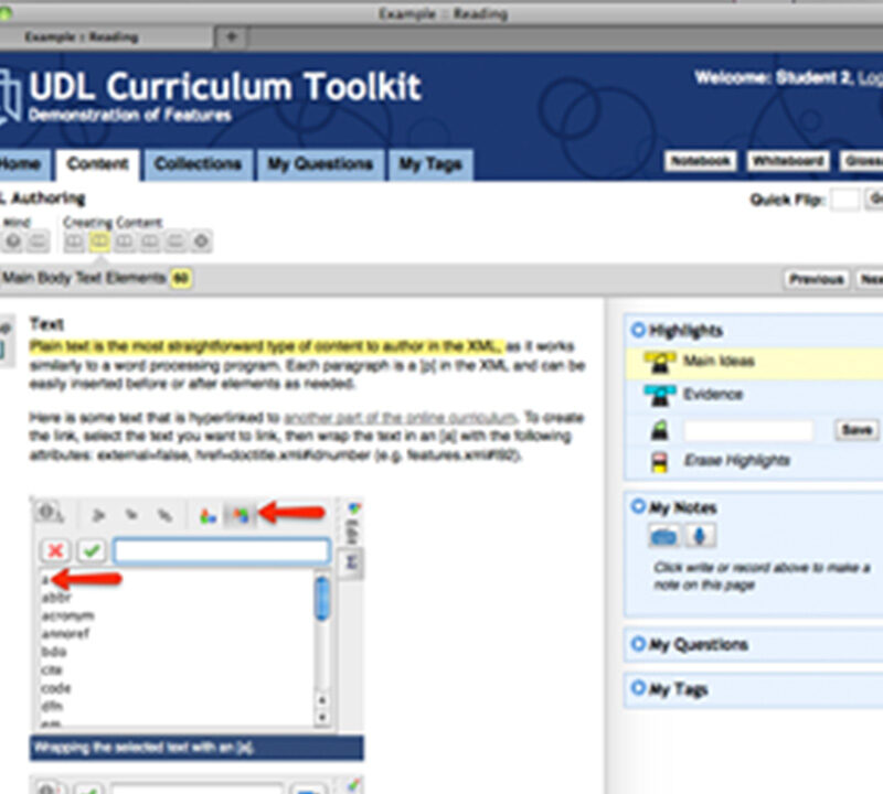 Screenshots from the UDL Curriculum Toolkit product