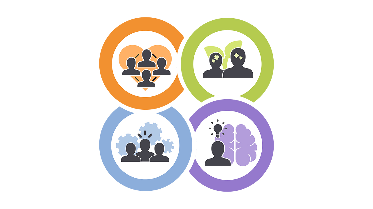 Four overlapping icons representing the four UDL-SICC domains: School Culture and Environment, Teaching and Learning, Leadership and Management, and Professional Learning.