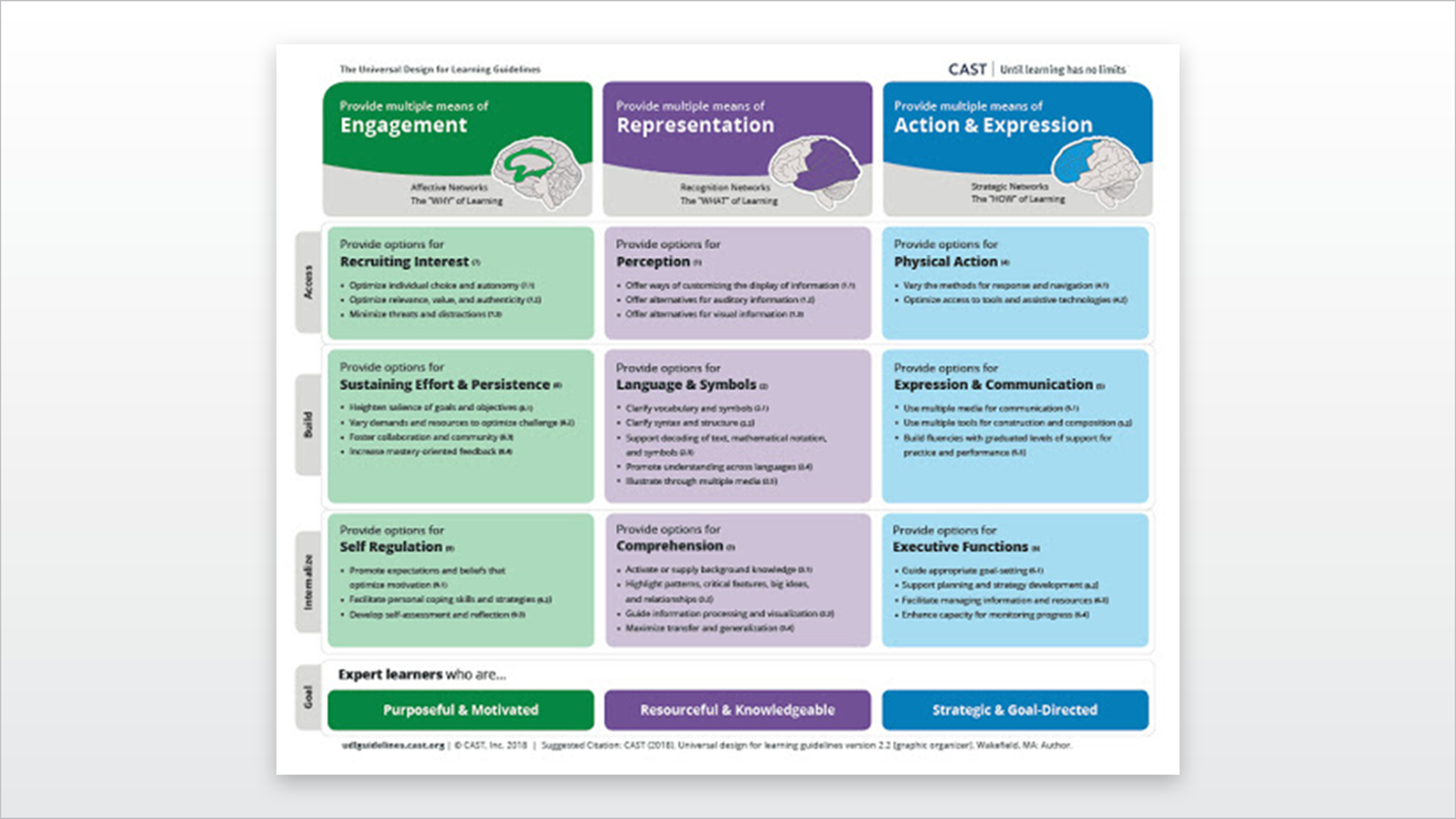 UDL Guidelines 2.2 Graphic Organizer